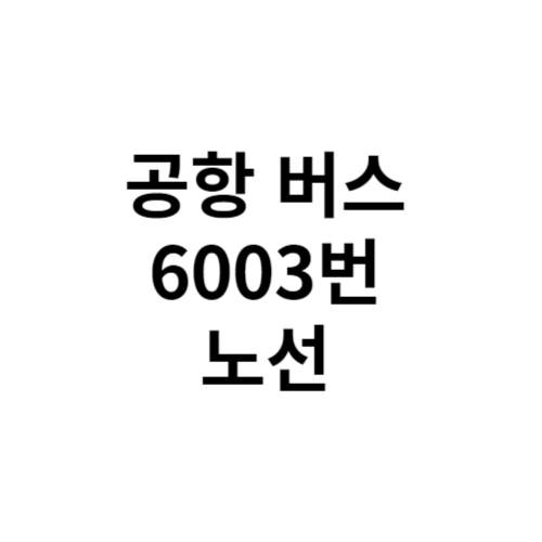 6003번 리무진 공항버스 시간표 노선도 바로가기