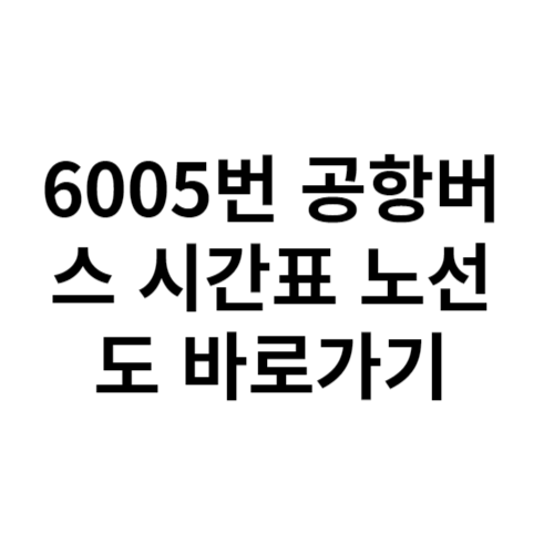 6005번 공항버스 시간표 노선도 바로가기