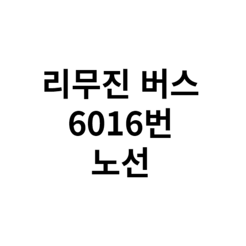 공항버스 6016번 시간표 노선도 바로가기