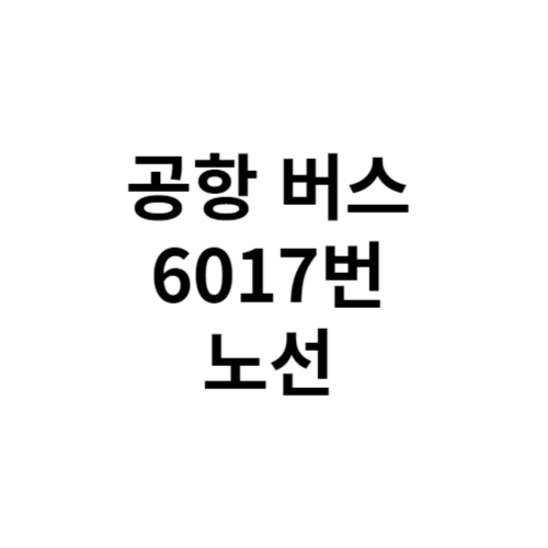 6017번 공항버스 시간표 노선도 바로가기