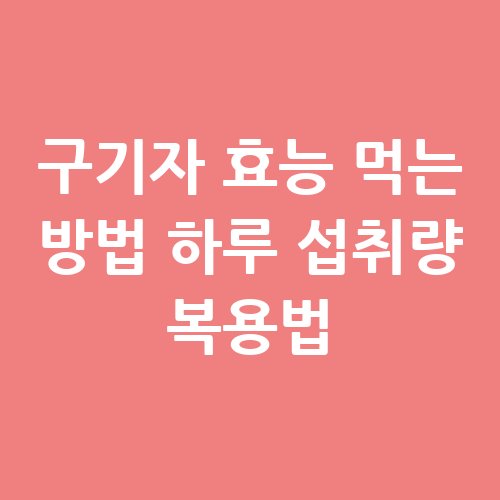 이미지