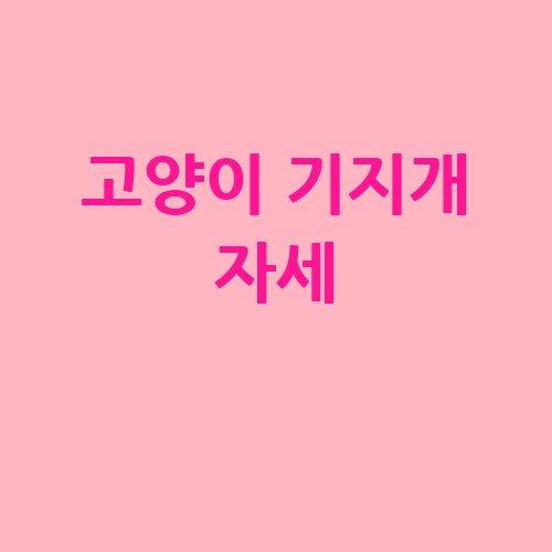 고양이 기지개 자세의 매력