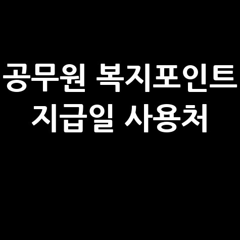 공무원 복지포인트 지급일과 사용처