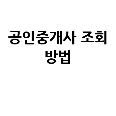 공인중개사 조회 방법 완벽 가이드