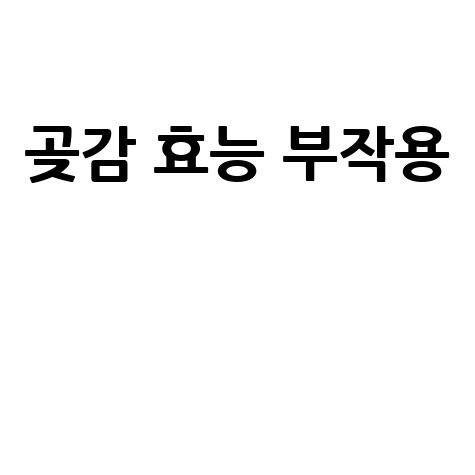 곶감 효능과 부작용 완벽 가이드