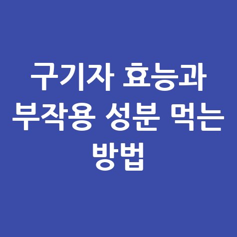 구기자 효능과 부작용 완벽 가이드