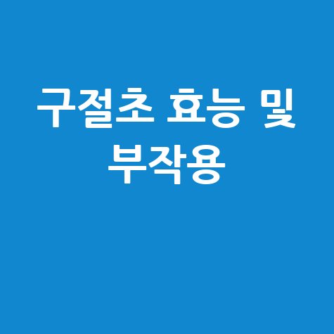 구절초 효능 및 부작용 완벽 가이드