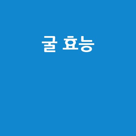 굴 효능으로 건강 챙기기