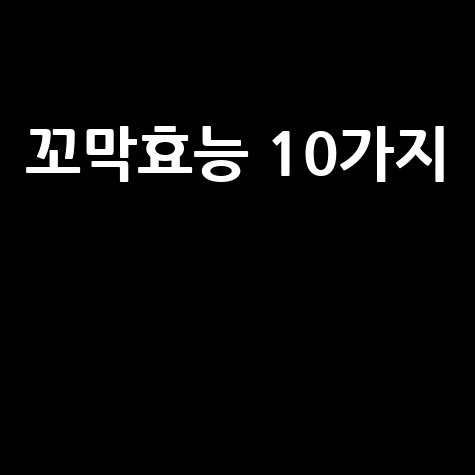 꼬막효능 10가지, 건강에 좋은 이유