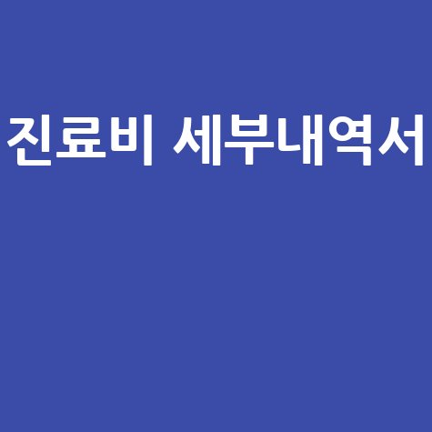 진료비 세부내역서 발급 및 확인 방법