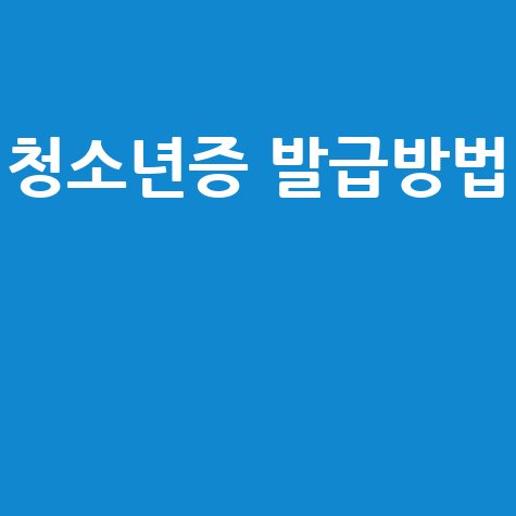 청소년증 발급, 온라인부터 주민센터까지 완벽 가이드! (준비물, 임시발급 총정리)