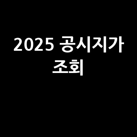 2025년 공시지가 조회