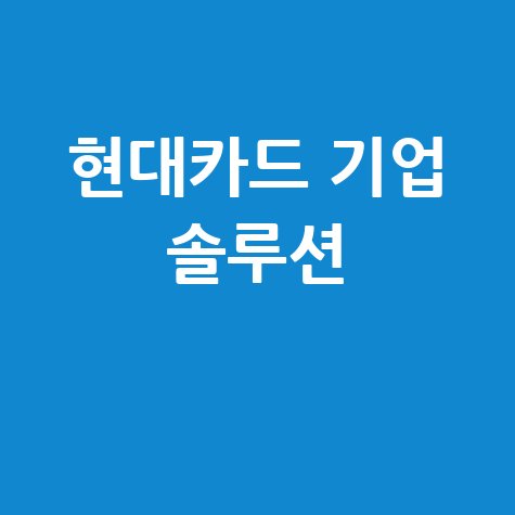 현대카드 법인 홈페이지 기업을 위한 최적의 솔루션
