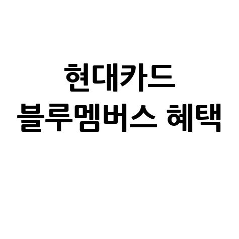 현대카드 블루멤버스 혜택 완벽 가이드