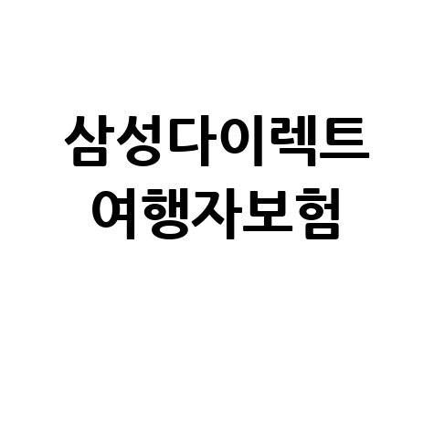 삼성다이렉트 여행자보험 해외여행 필수 준비물