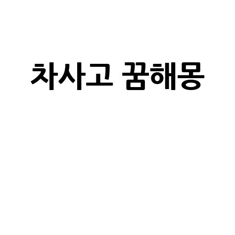 차사고 나는 꿈 해몽 완벽 정리