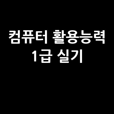 컴퓨터 활용능력 1급 실기 합격 가이드