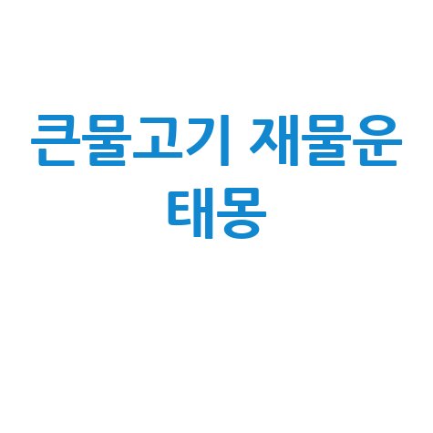 큰물고기꿈해몽 재물운 길몽 태몽 풀이