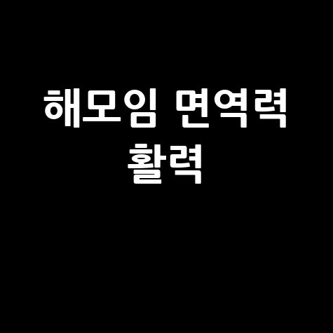 해모임 효능 면역력 증진과 활력