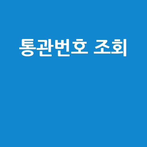 내 통관번호 조회 및 세관 절차 안내