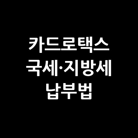 카드로택스 홈페이지 국세&middot;지방세 납부 방법