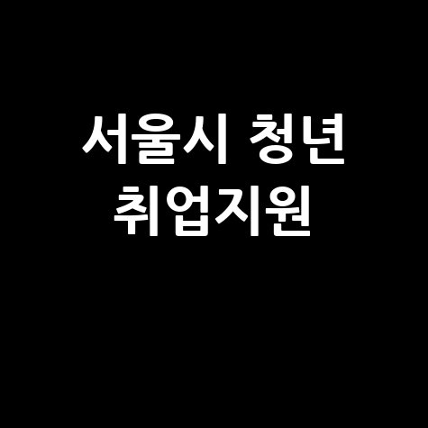 서울시 청년일자리센터 취업지원 방법 안내