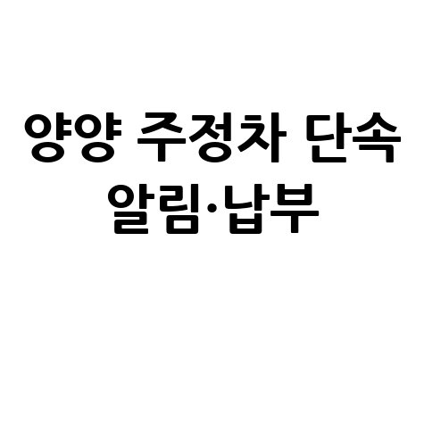 양양군 주정차단속 알림 신청 및 과태료 조회 납부 방법