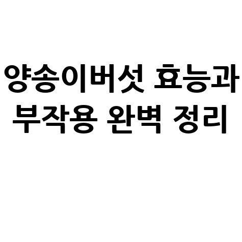 양송이버섯 효능과 부작용 완벽 분석